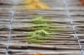Bild 2 von Lehmfarbe Limone 2.0 (Gelb-Grün)  / (Menge) 0,25 kg