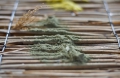Bild 2 von Lehmstreichputz Olive 2.0  / (Menge) 0,25 kg