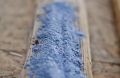 Bild 2 von Lehmfarbe Blue King 2.0 (Blau-Violett)  / (Menge) 1,0 kg